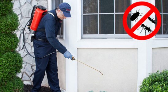 Baykan Gümüşkurt İlaçlama böcek ilaçlama ve haşere kontrolü — ilaclama-tr.com